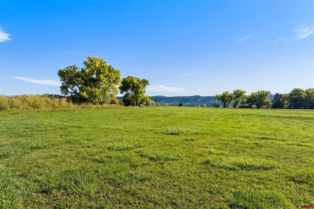 2597 County Road 213 Durango CO 81303