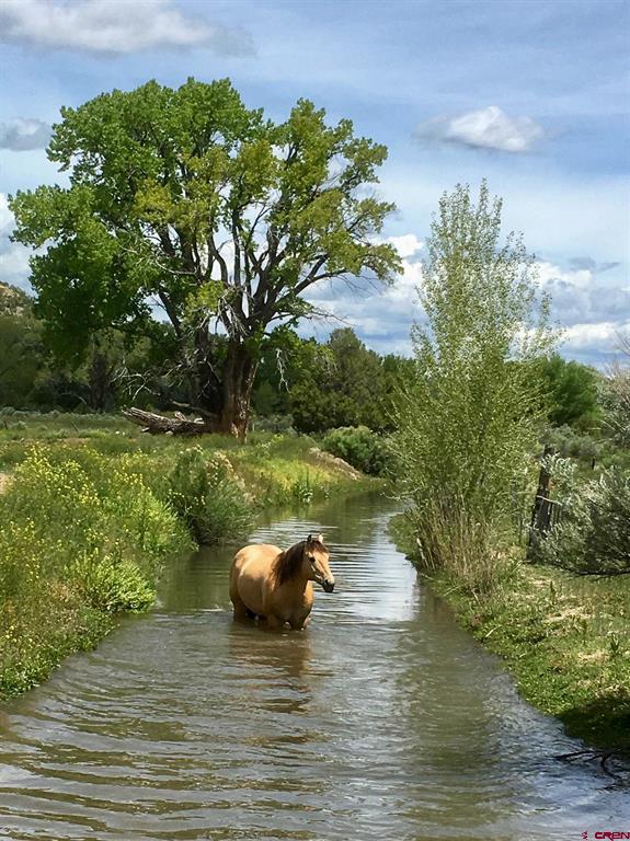 2597 County Road 213 Durango CO 81303