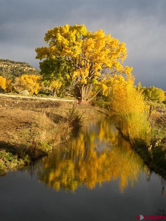 2597 County Road 213 Durango CO 81303