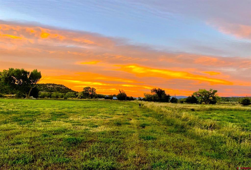 2597 County Road 213 Durango CO 81303