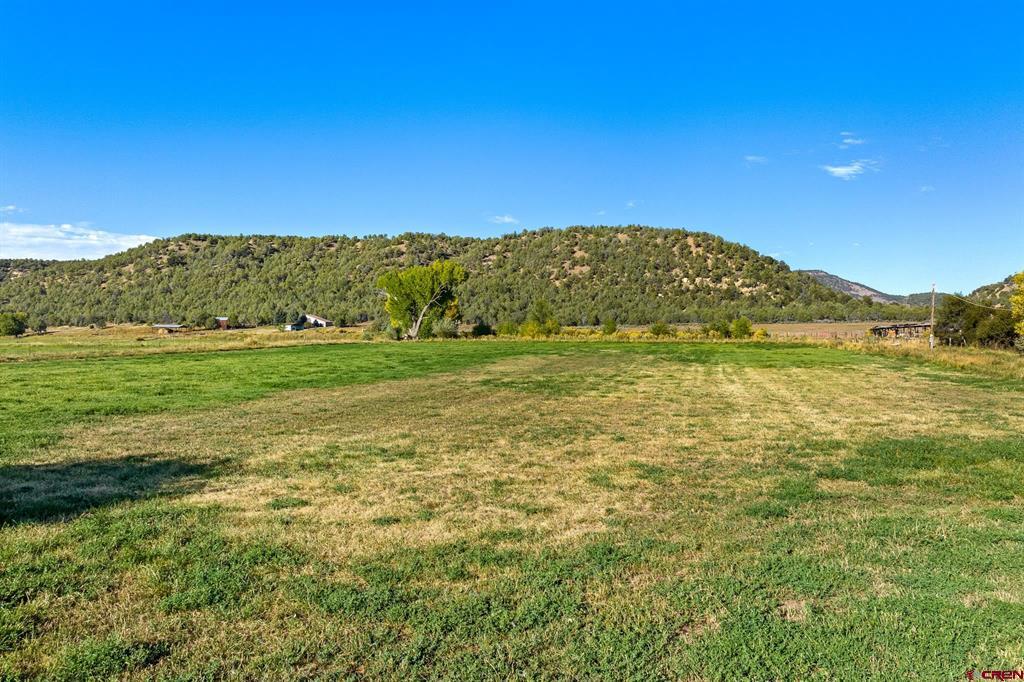 2597 County Road 213 Durango CO 81303