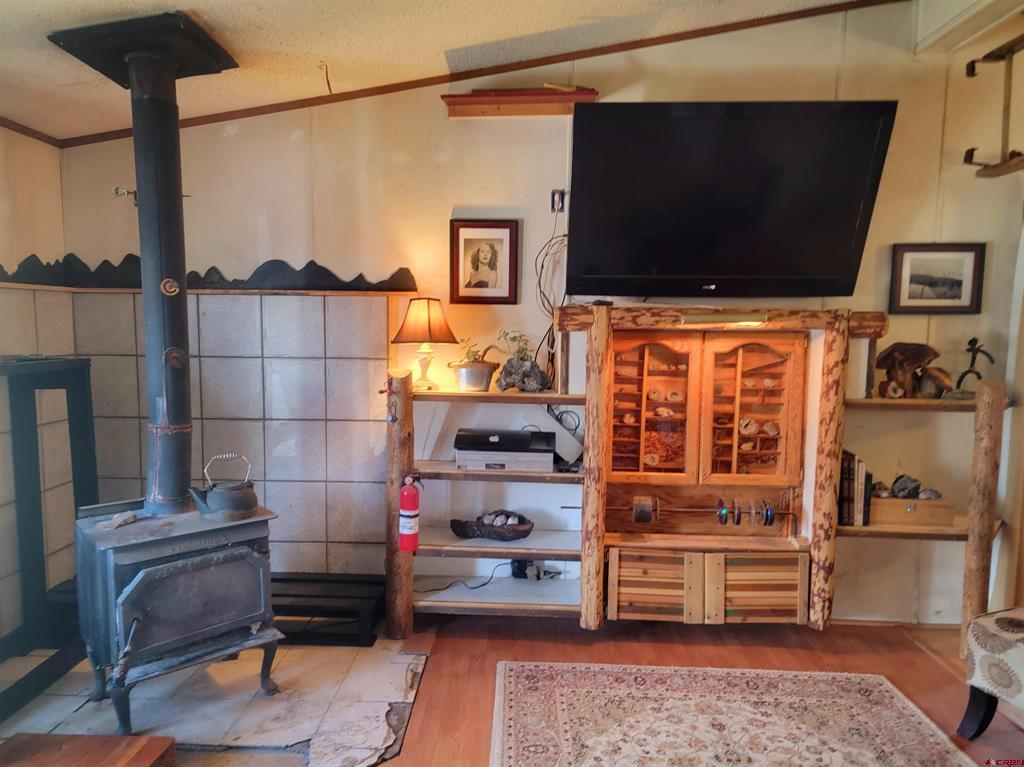 22 Cedar Drive South Fork CO 81154