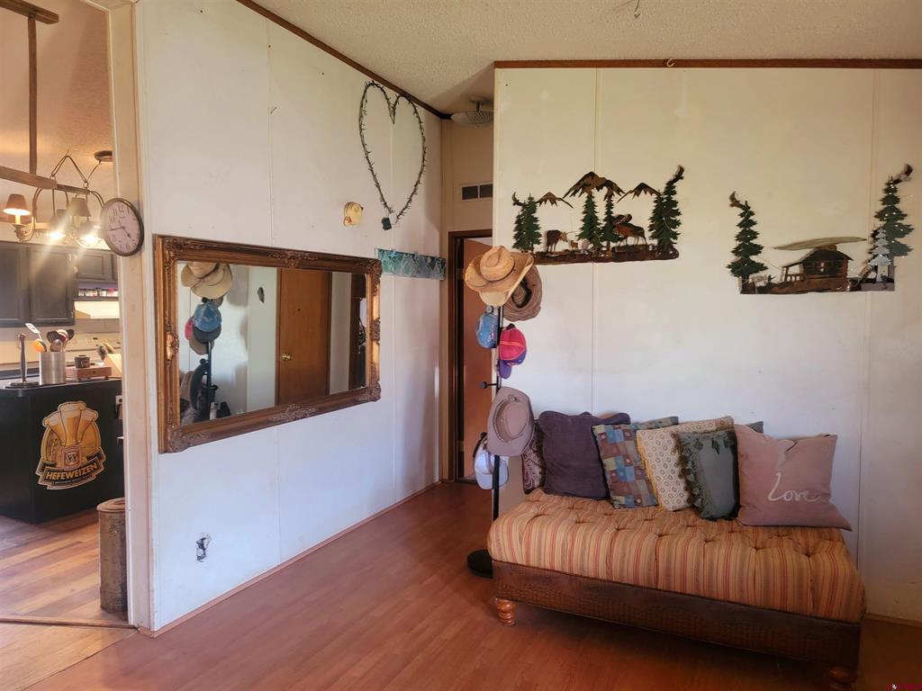 22 Cedar Drive South Fork CO 81154