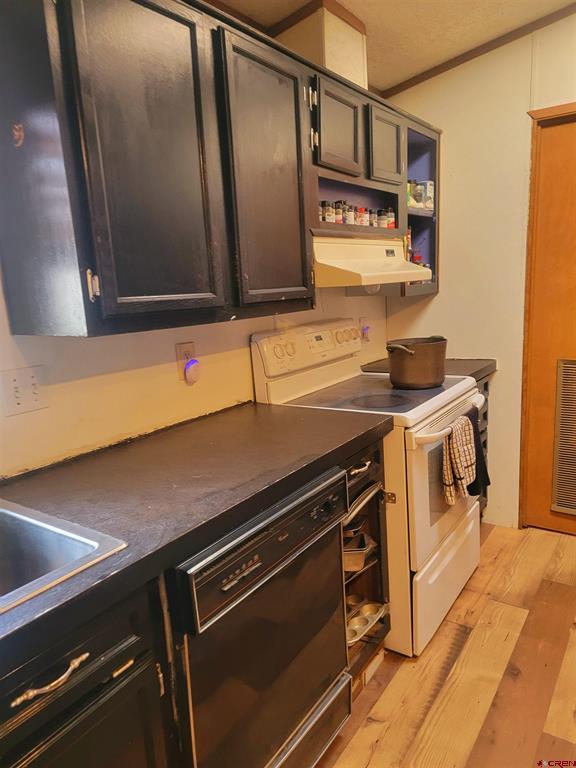 22 Cedar Drive South Fork CO 81154