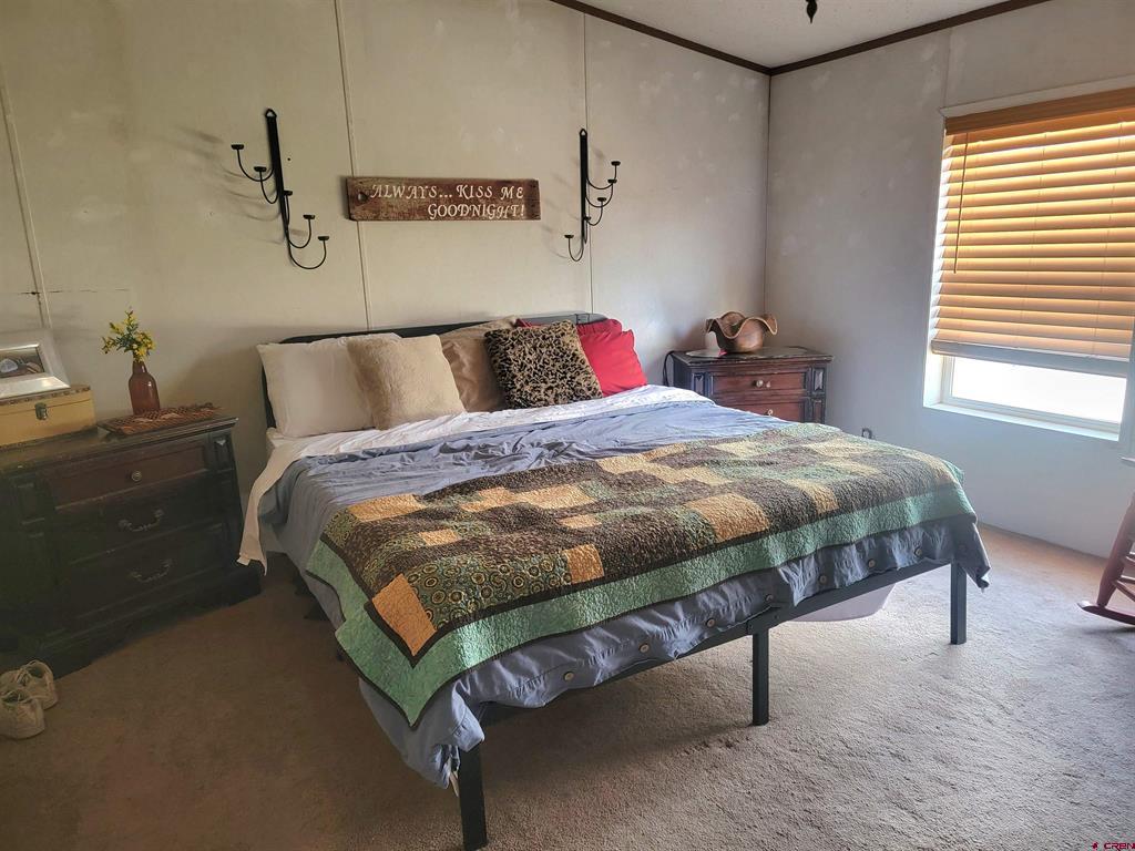 22 Cedar Drive South Fork CO 81154