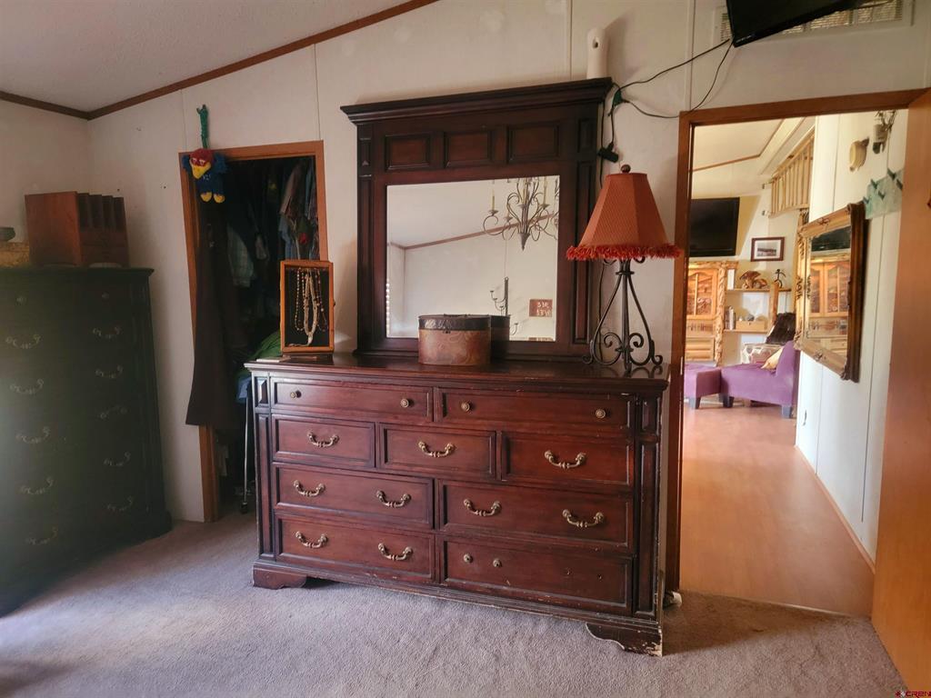 22 Cedar Drive South Fork CO 81154