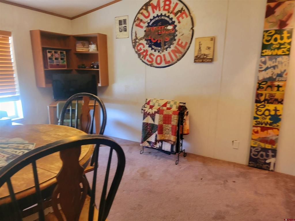 22 Cedar Drive South Fork CO 81154