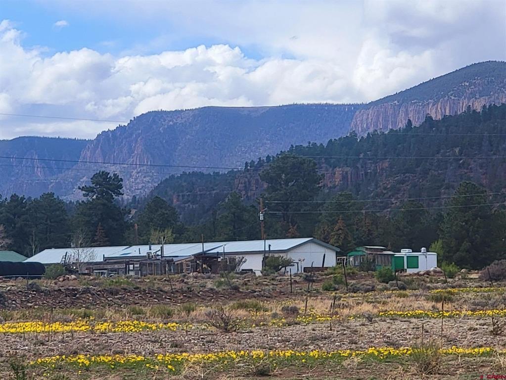 22 Cedar Drive South Fork CO 81154