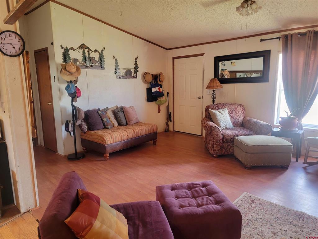 22 Cedar Drive South Fork CO 81154