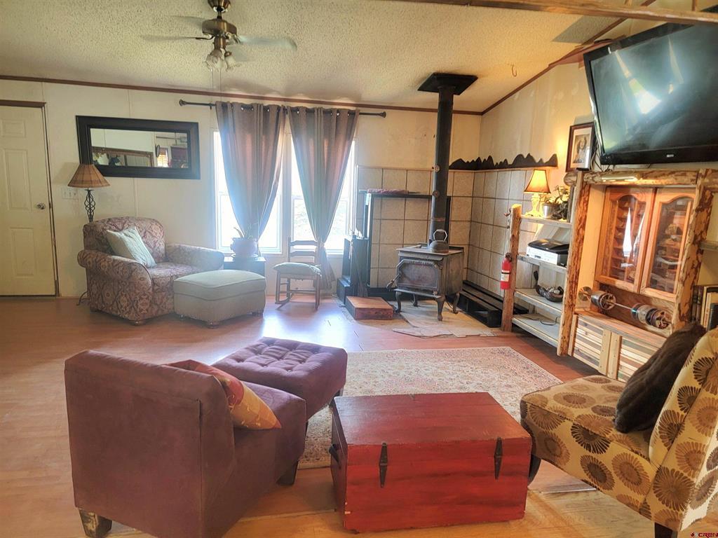22 Cedar Drive South Fork CO 81154
