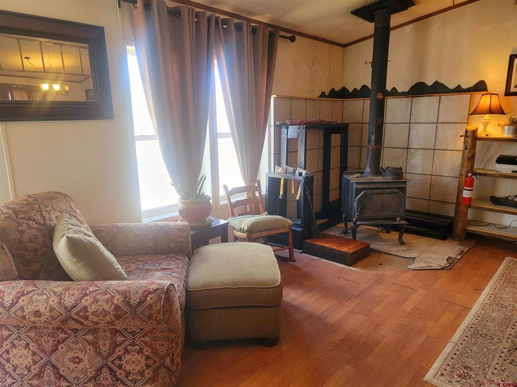22 Cedar Drive South Fork CO 81154