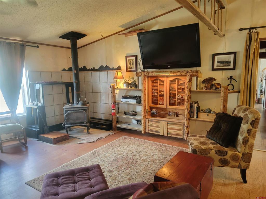22 Cedar Drive South Fork CO 81154