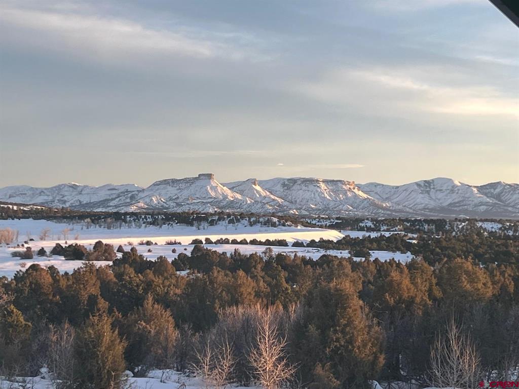 35066 Highway 184 Mancos CO 81328