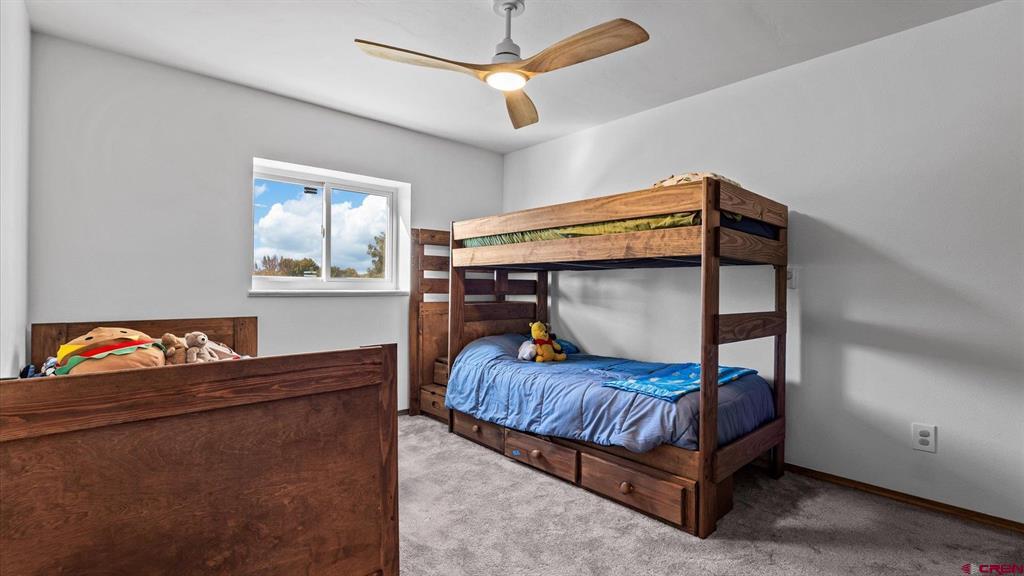 2669 Lone Cone Avenue Montrose CO 81401