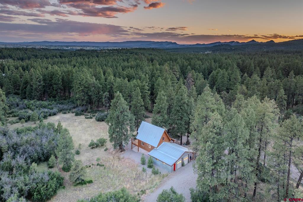 6288 County Road 228 Durango CO 81301