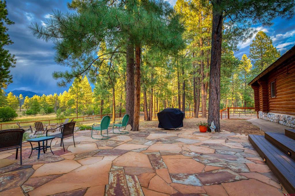 601 W Log Hill Road Pagosa Springs CO 81147