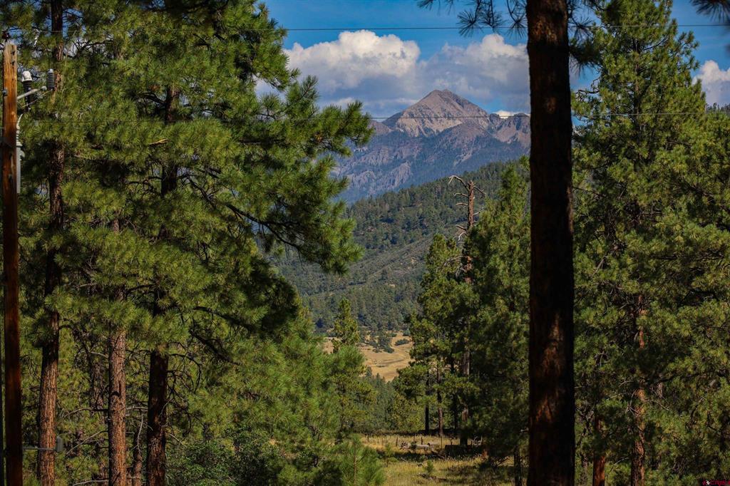 601 W Log Hill Road Pagosa Springs CO 81147