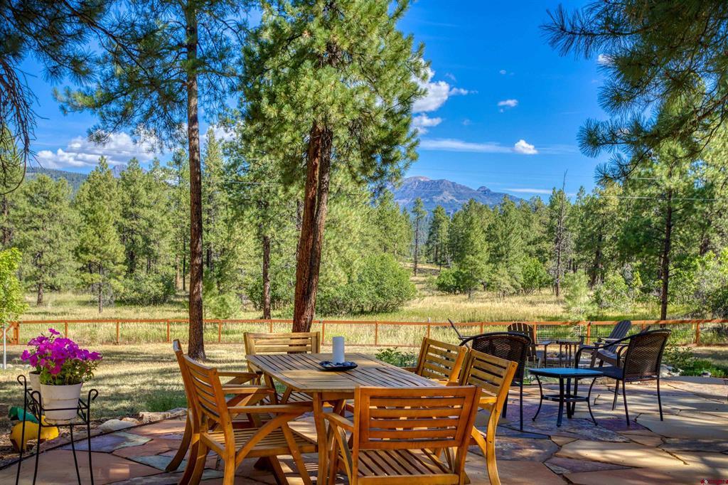 601 W Log Hill Road Pagosa Springs CO 81147