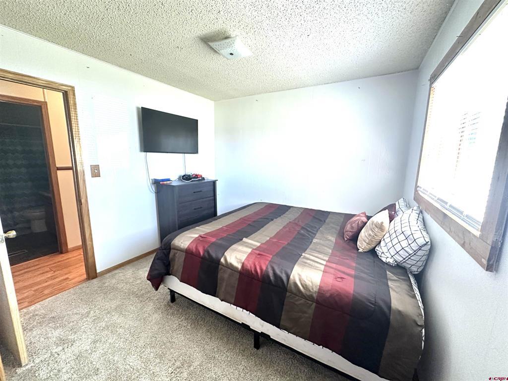 35 Mount Blanca Court Monte Vista CO 81144