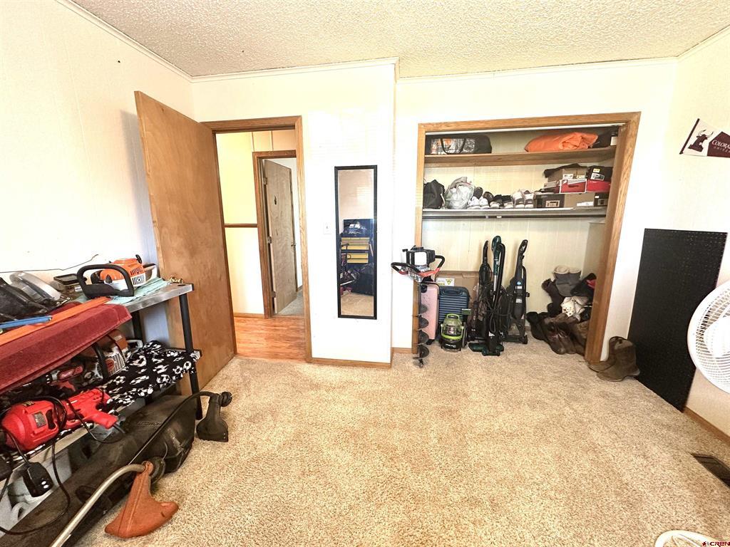 35 Mount Blanca Court Monte Vista CO 81144