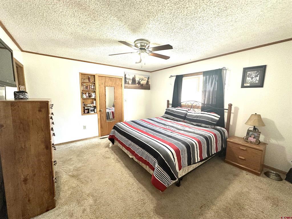 35 Mount Blanca Court Monte Vista CO 81144