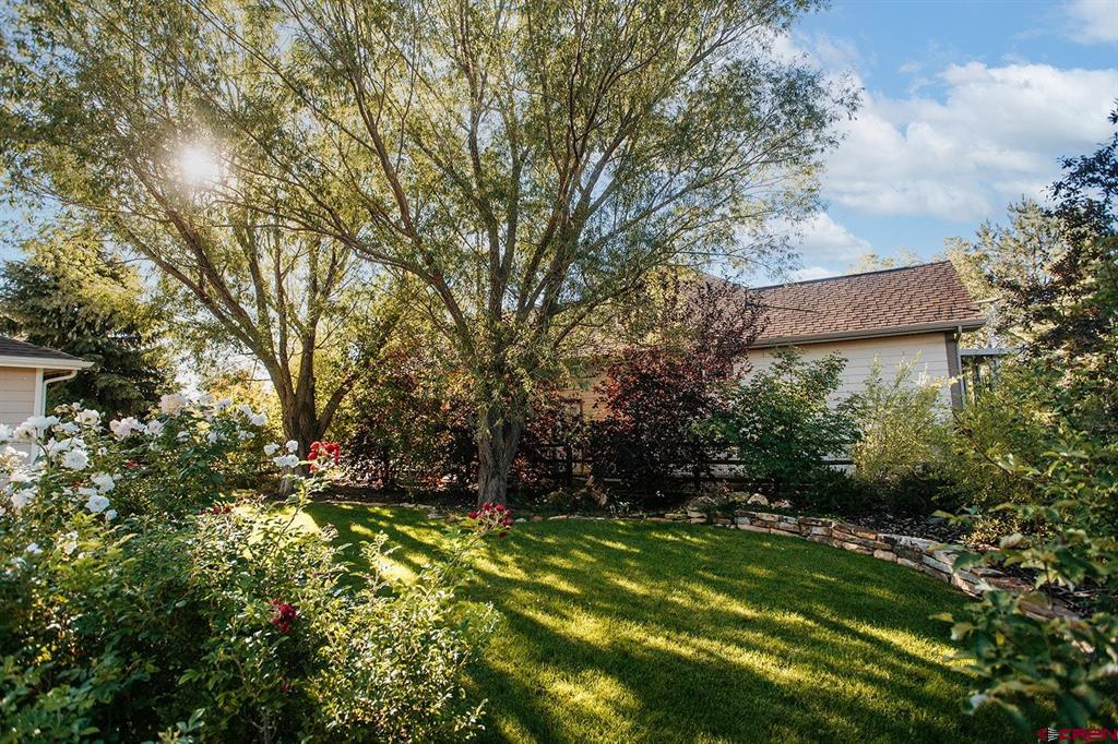 684 Cobble Drive Montrose CO 81403