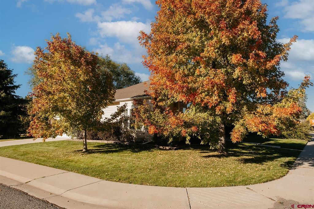 684 Cobble Drive Montrose CO 81403