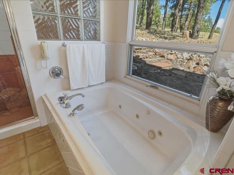94 Golden Pond Place Pagosa Springs CO 81147