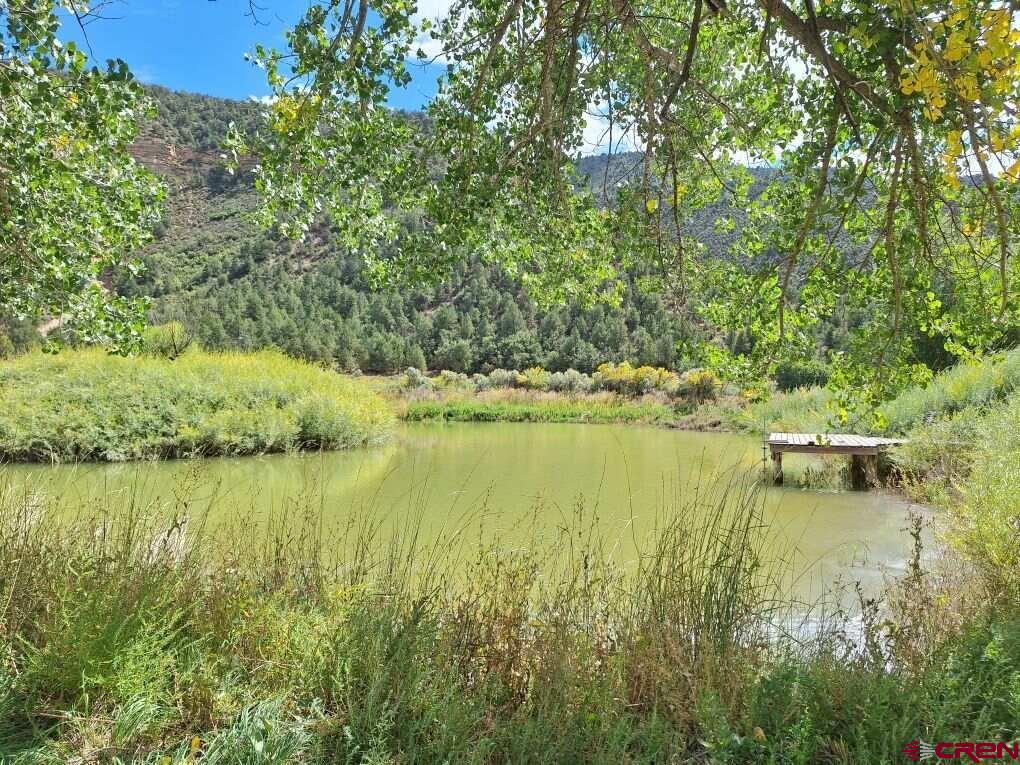 1179 Road 41 Mancos CO 81328
