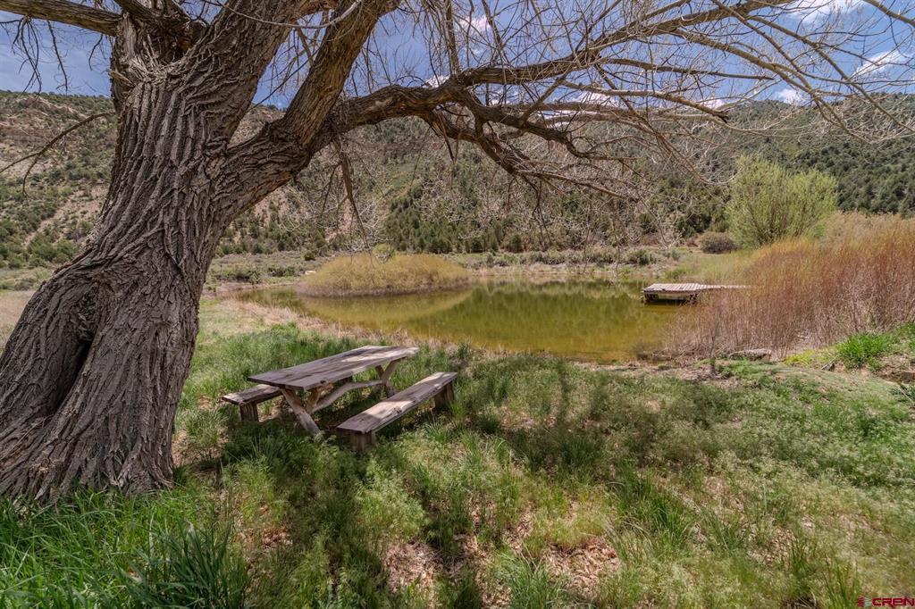 1179 Road 41 Mancos CO 81328