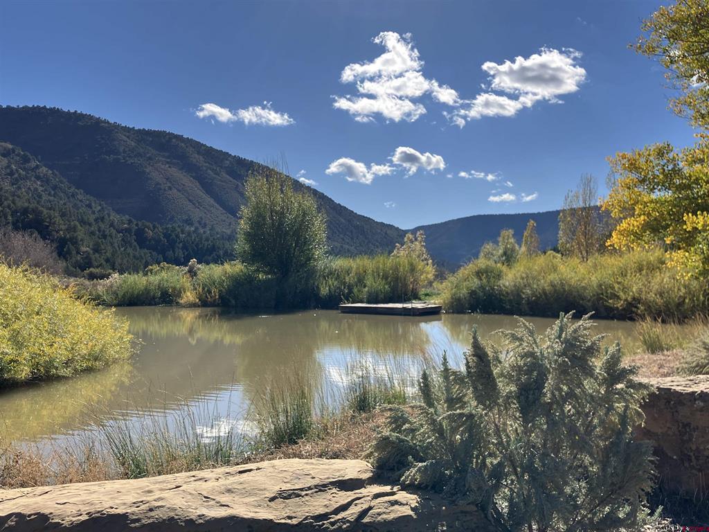 1179 Road 41 Mancos CO 81328