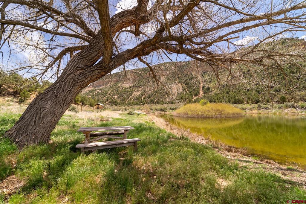 1179 Road 41 Mancos CO 81328