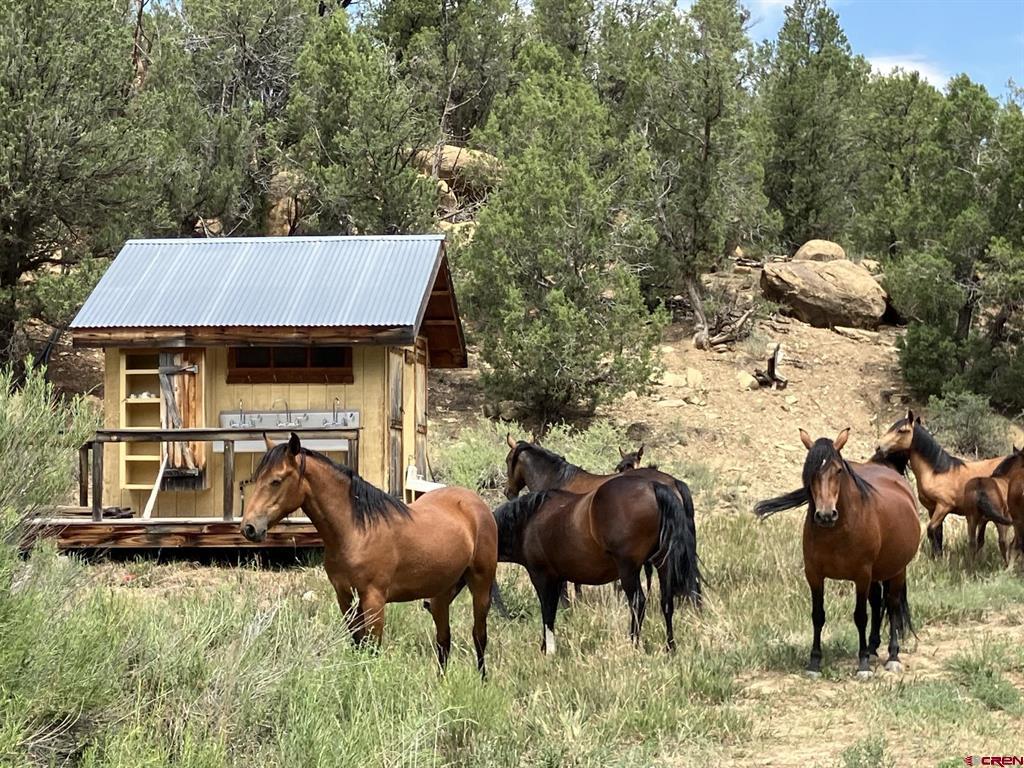 1179 Road 41 Mancos CO 81328