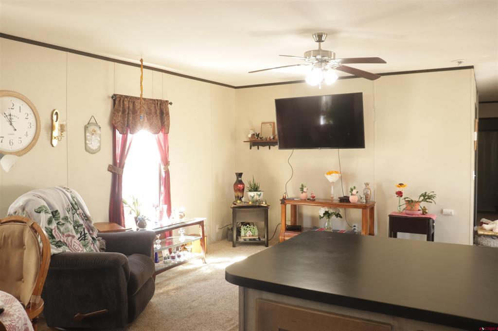 62880 Lasalle Road Montrose CO 81401