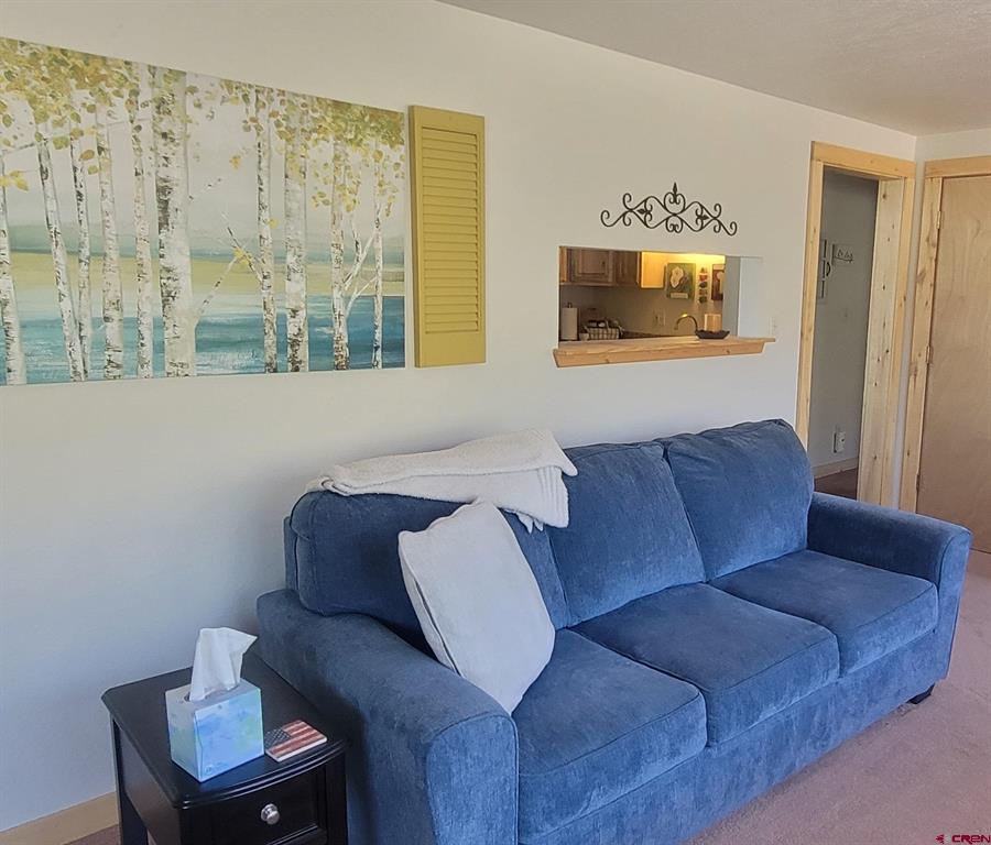 124 Shoshone Trail South Fork CO 81154