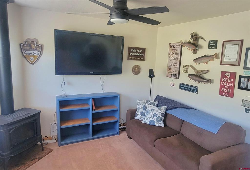 124 Shoshone Trail South Fork CO 81154