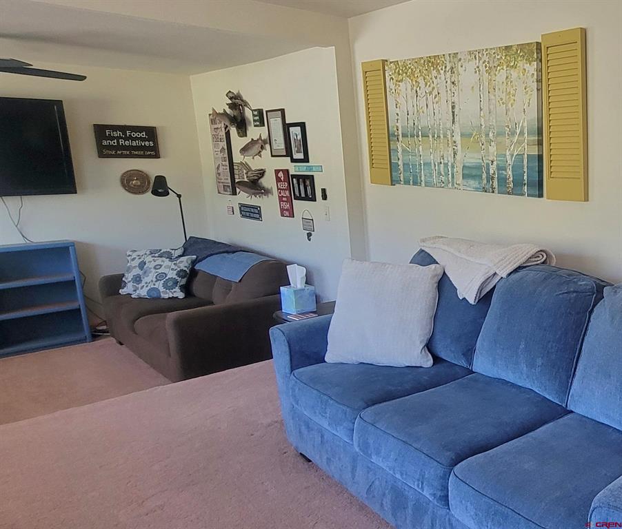 124 Shoshone Trail South Fork CO 81154