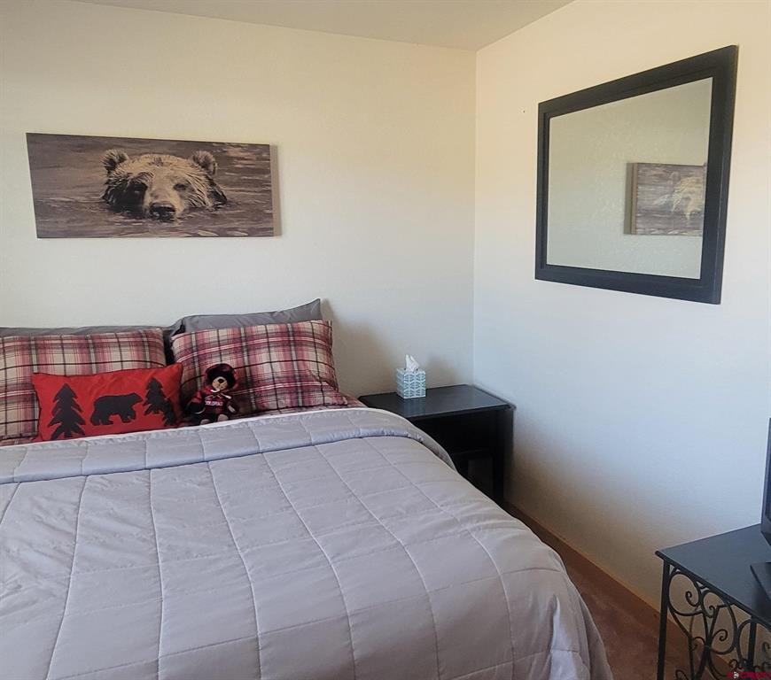 124 Shoshone Trail South Fork CO 81154