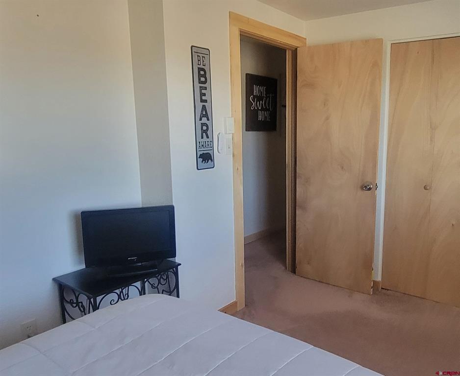 124 Shoshone Trail South Fork CO 81154