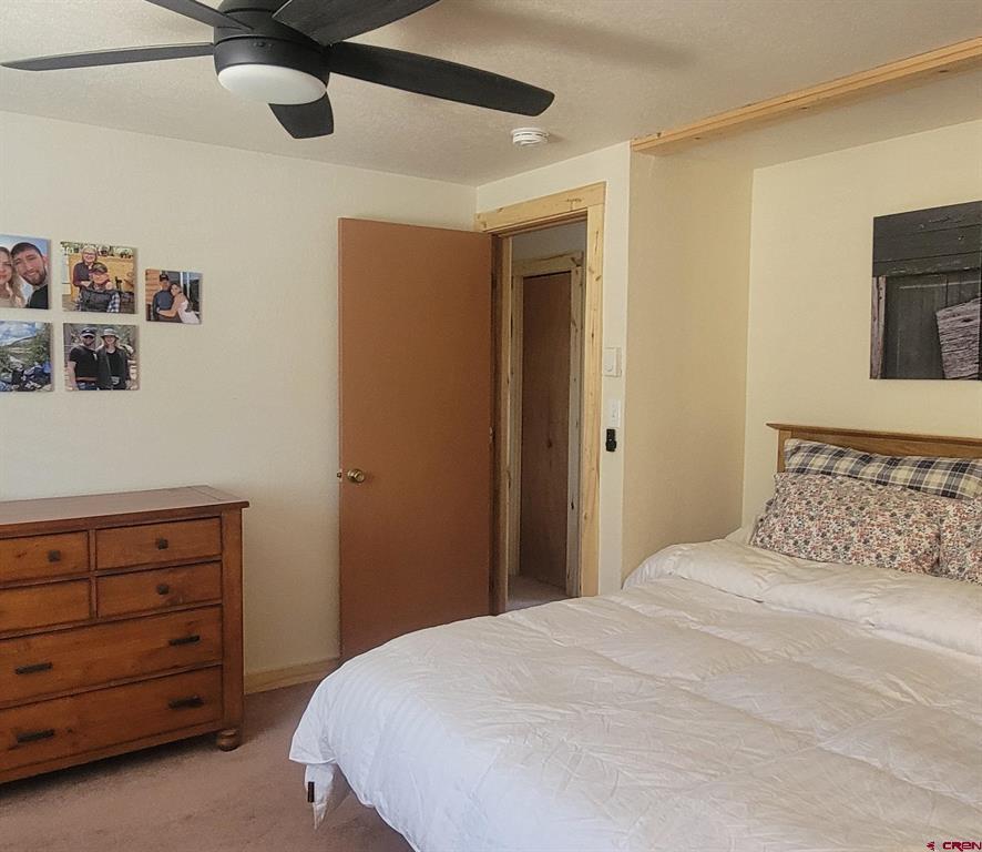 124 Shoshone Trail South Fork CO 81154