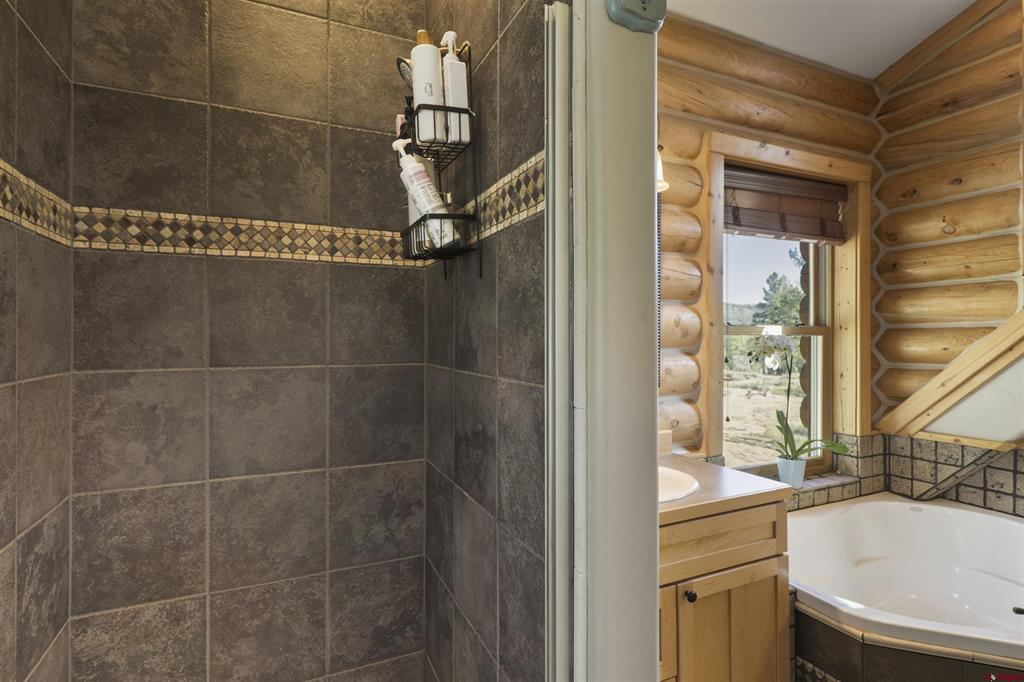 99 Tiffany Place Pagosa Springs CO 81147