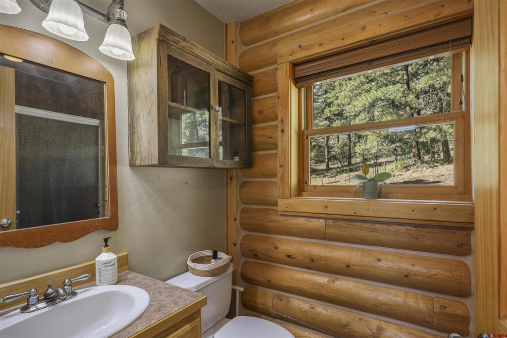 99 Tiffany Place Pagosa Springs CO 81147