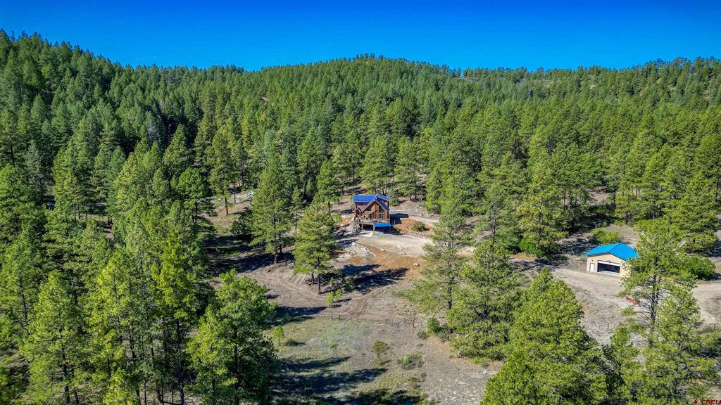 99 Tiffany Place Pagosa Springs CO 81147