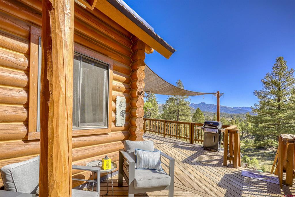 99 Tiffany Place Pagosa Springs CO 81147