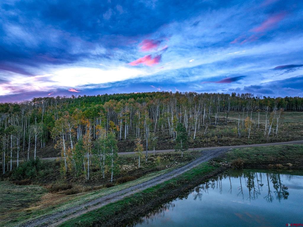 44 Spruce Mountain Trail Ridgway CO 81432