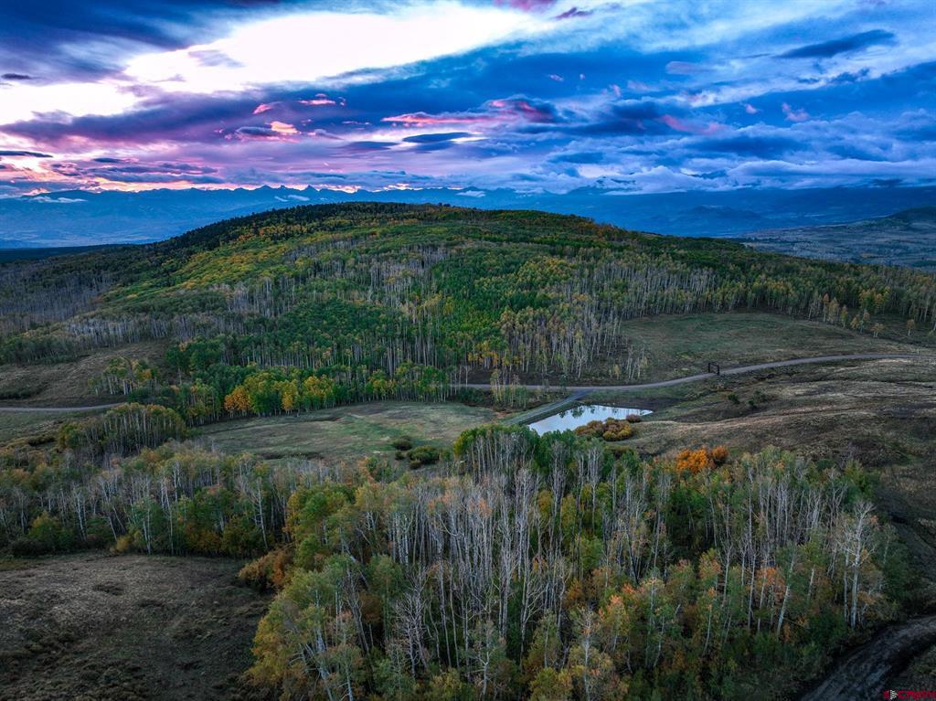 44 Spruce Mountain Trail Ridgway CO 81432