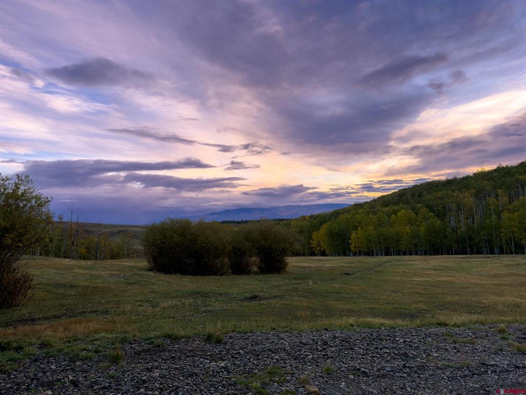 44 Spruce Mountain Trail Ridgway CO 81432