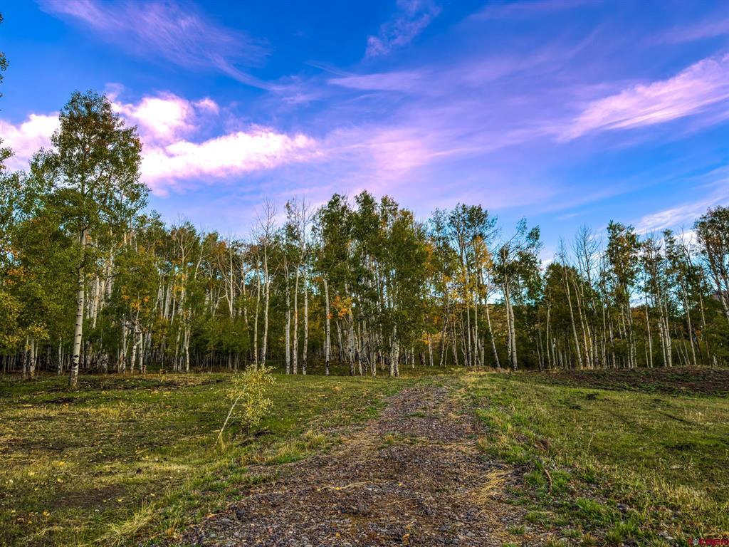 44 Spruce Mountain Trail Ridgway CO 81432