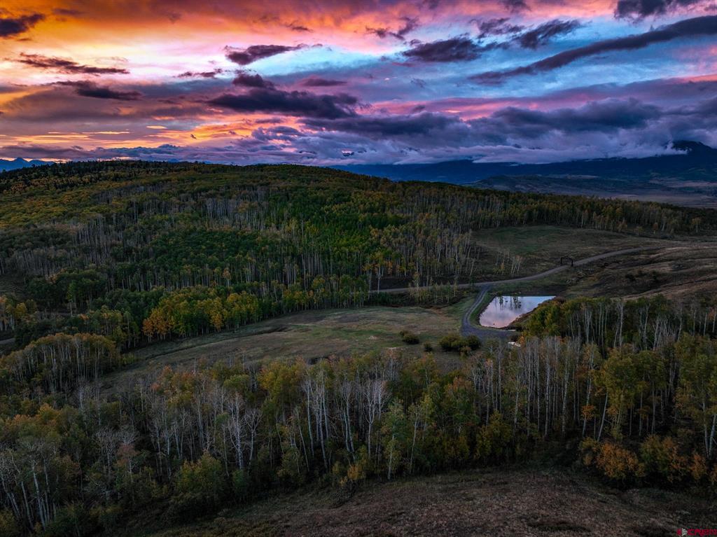 44 Spruce Mountain Trail Ridgway CO 81432