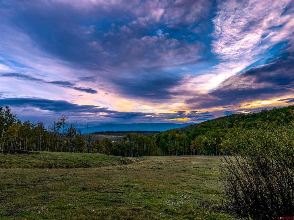 44 Spruce Mountain Trail Ridgway CO 81432